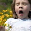 알레르기 이미지