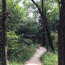 9월1일(목) 초록숲길...초안산나들길...산책 이미지
