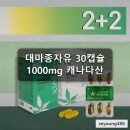 대마종자유 프리미엄 1000mg 30캡슐 4박스 캐나다 햄프씨드 대마씨유 에이지블루