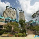 함백여자중학교 이미지