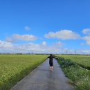 종금주유소 이미지