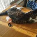 나래종합동물병원 이미지