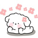노포육점 이미지