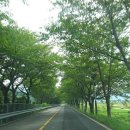 황산문화체육공원 국민여가캠핑장 이미지