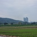 임성초등학교 이미지