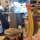 배민 1등 치킨 맛집 수현이네통닭 내돈내산