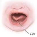 윤이비인후과의원 이미지