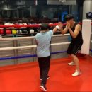 뱅뱅 복싱클럽 이미지