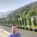 안양한증원