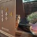 모비해(MOVIHAE) 이미지