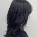 보라헤어 이미지