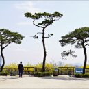 달맞이근린공원 이미지