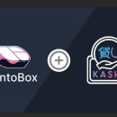 스시이네 이미지