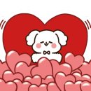 보니또따 이미지