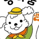 멍다움 네이버블로그