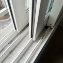 해운대더샵센텀그린 | 부산 해운대 입주청소 – 해운대 더샵 센텀그린 24평 사이청소 후기