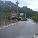 월악스타펠리스 이미지