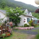 꽃님이네 이미지