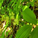 방산경로당 이미지