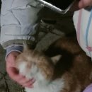 치명경로당 이미지