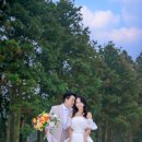 제주 하연 이미지