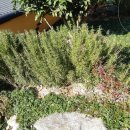 고운이네 한옥민박 이미지