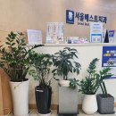 서울베스트치과의원 이미지