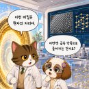 금노다지