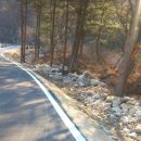 복실이 PC 이미지