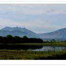 기리시마 이미지