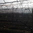 분천농장 이미지