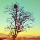 창신공인중개사사무소 이미지