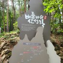 원효동물병원 | 두타산 산행