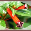 영광(아) 이미지