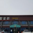 사랑오리 이미지