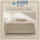 독립바이오가드 주식회사 | 부산침대싼곳 프리미엄 감성 그대로, 스테이블25 매트리스 소개