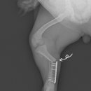 나은동물병원 이미지