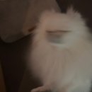 렙업PC방 | 바다는 바다이며 그리움은 그리움이 아니듯 눈물은 모두 눈물이 아니듯 슬픔이 꼭 슬픔으로 되돌아오진...