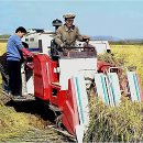 해관농장 이미지