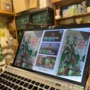 지구로운 출발 - 현실적인 제로웨이스트 방법과 환경워크숍 | 순환지구, 성북구 제로웨이스트샵, 반려식물 돌봄 워크숍