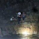 부산해양경찰서 이미지