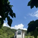 단지골 몽상가 이미지