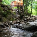 숲속의 예쁜펜션 이미지