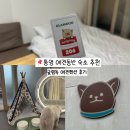 용호로-1 | [통영숙소추천] 통영 애견동반 펜션 추천 글램독 애견펜션 내돈내산 후기