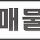 서울하이안치과의원강남 이미지