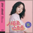 사르르 티스토리