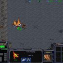 벙커속의저글링 이미지