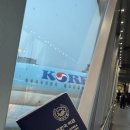 대한항공(주) | 대한항공 특별식 저열량식 후기