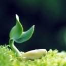 신빈회 요셉의집 이미지