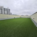 대견하개 이미지